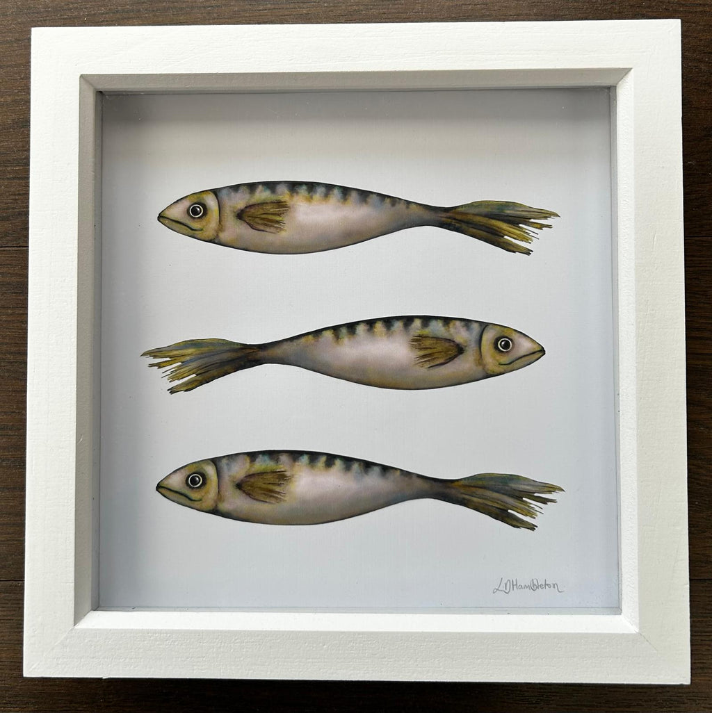 Cornish Mackerel Watercolour Print – Coastal Nautical Fish Art for Kitchen – 9x9 Framed