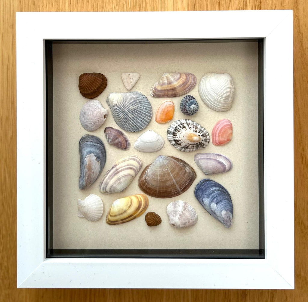 Handmade Cornish Seashell Art: Coastal Wall Decor in White Frame