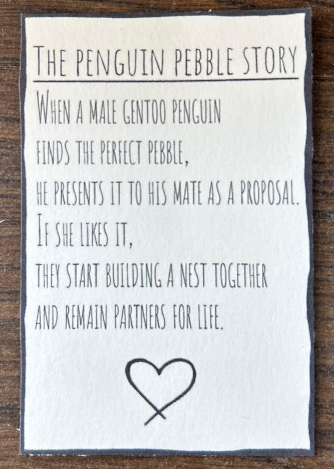 Pebble Penguins: Romantic Coastal Decor in 7x7 Frame – Sweet Quote