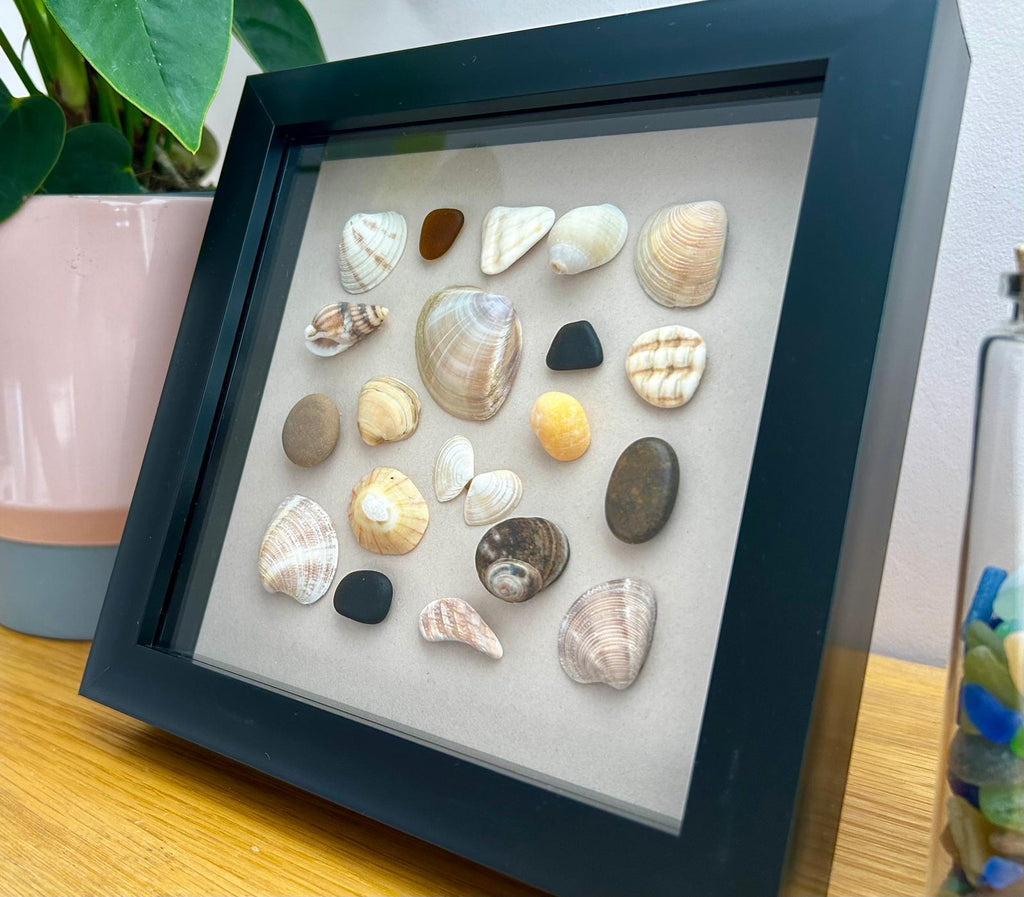 Handmade Cornish Seashell Art: Coastal Wall Decor in Black Frame