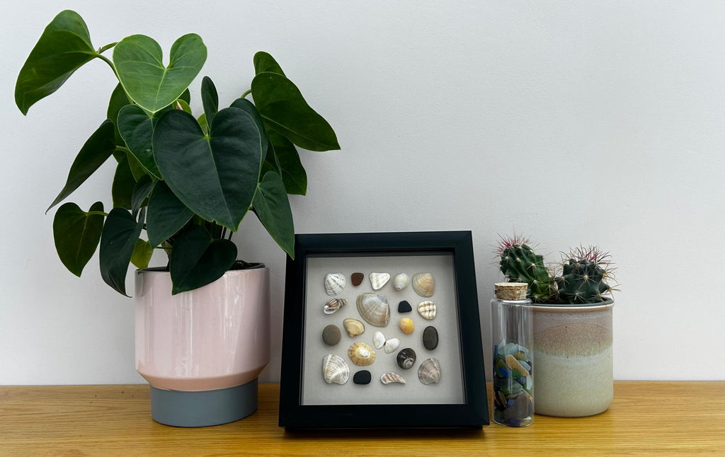 Handmade Cornish Seashell Art: Coastal Wall Decor in Black Frame