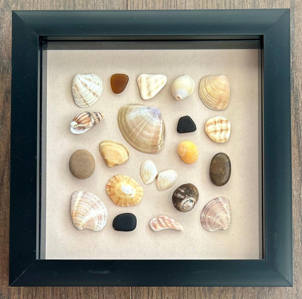 Handmade Cornish Seashell Art: Coastal Wall Decor in Black Frame