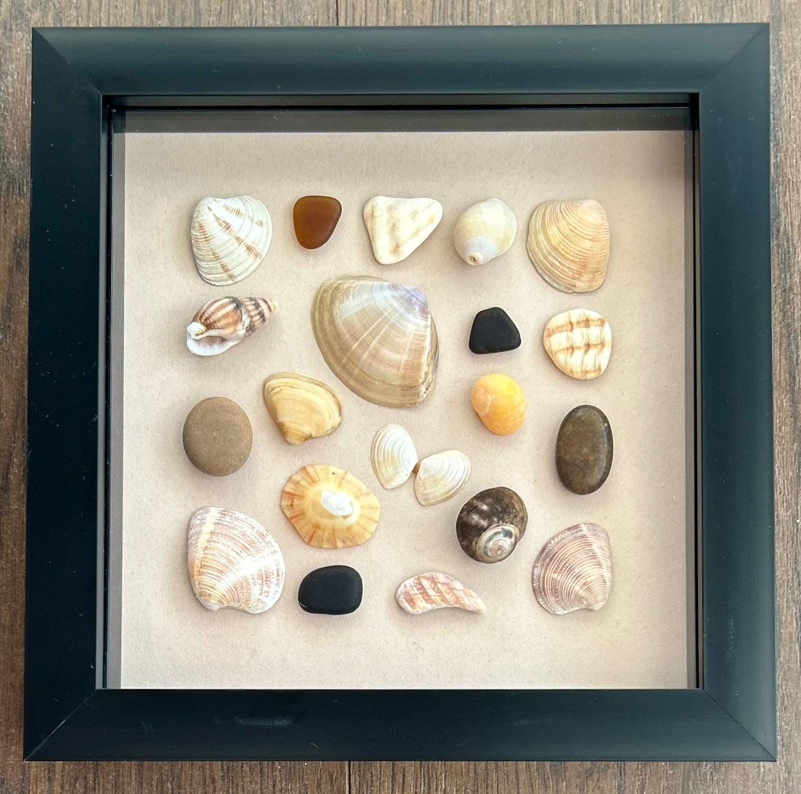 Handmade Cornish Seashell Art: Coastal Wall Decor in Black Frame